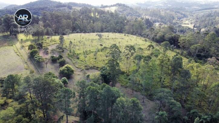 Fazenda à venda com 2 quartos, 4m² - Foto 5