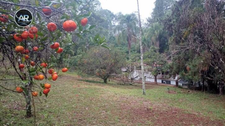 Fazenda à venda com 2 quartos, 4m² - Foto 27