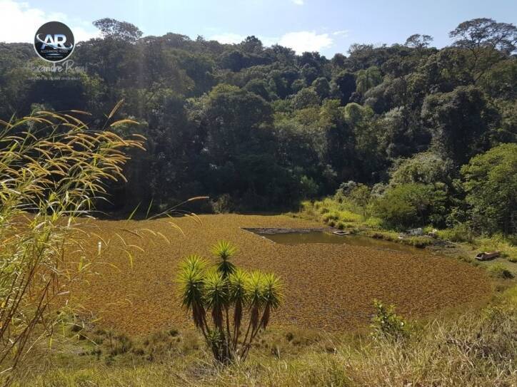 Fazenda à venda com 3 quartos, 4m² - Foto 13