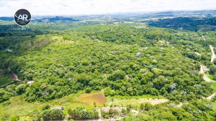 Fazenda à venda com 3 quartos, 4m² - Foto 18