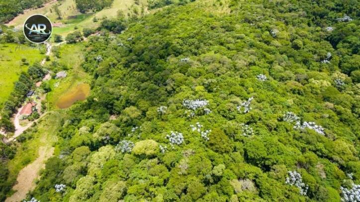 Fazenda à venda com 3 quartos, 4m² - Foto 19