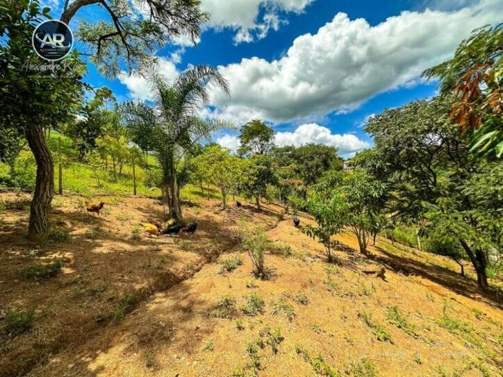 Fazenda à venda com 2 quartos, 500m² - Foto 25