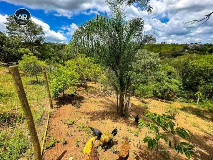 Fazenda à venda com 2 quartos, 500m² - Foto 29