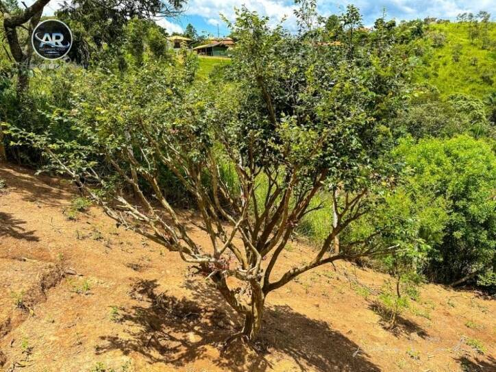 Fazenda à venda com 2 quartos, 500m² - Foto 30