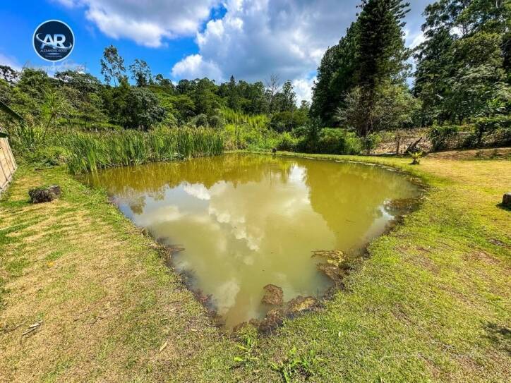 Fazenda à venda com 3 quartos, 2100m² - Foto 19