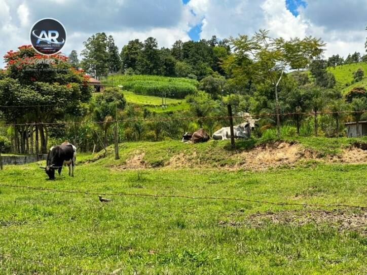 Fazenda à venda com 4 quartos, 13200m² - Foto 33