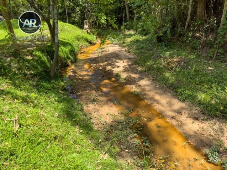 Fazenda à venda com 4 quartos, 13200m² - Foto 35