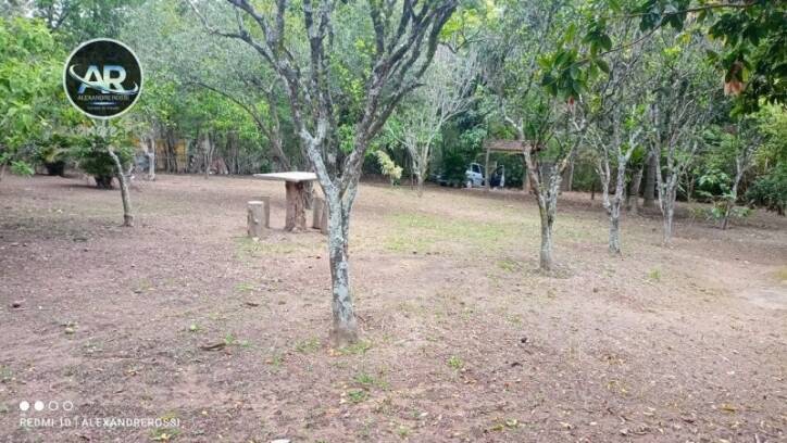 Fazenda à venda com 3 quartos, 1000m² - Foto 17