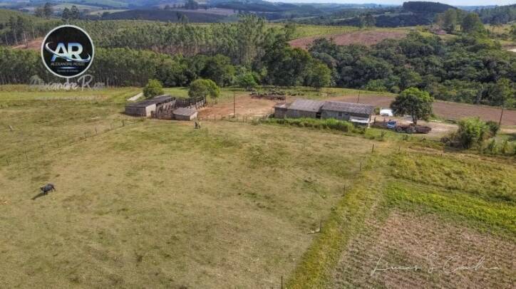 Fazenda à venda com 3 quartos, 700m² - Foto 12