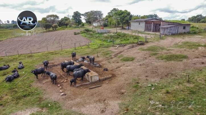 Fazenda à venda com 3 quartos, 700m² - Foto 13