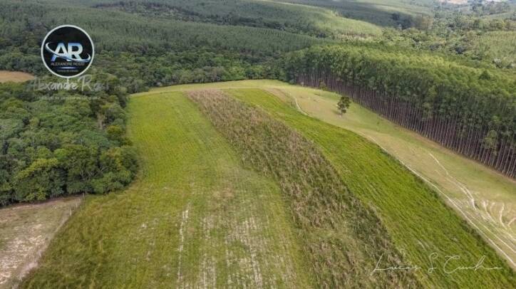 Fazenda à venda com 3 quartos, 700m² - Foto 15