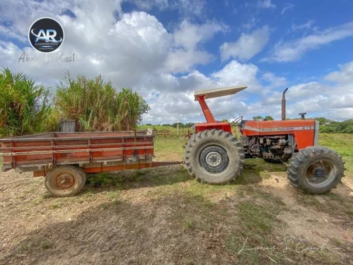 Fazenda à venda com 3 quartos, 700m² - Foto 19