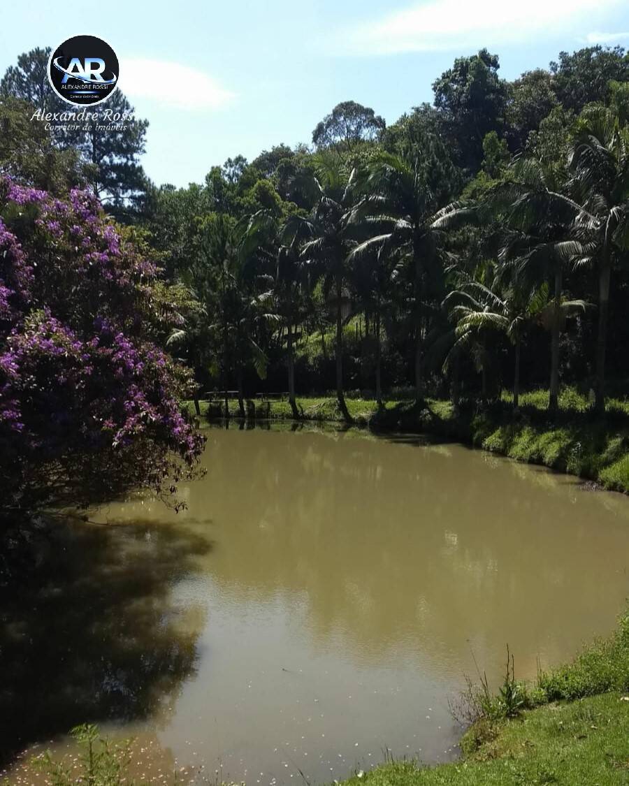 Fazenda à venda com 3 quartos, 18000m² - Foto 8