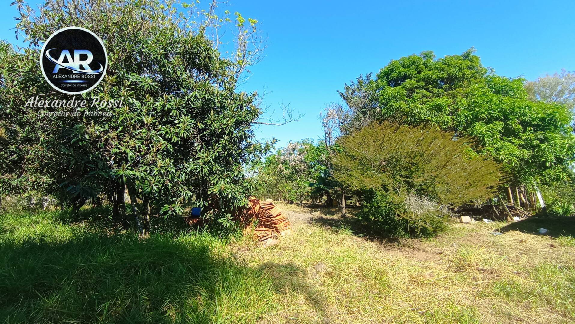 Fazenda à venda com 3 quartos, 5000m² - Foto 3