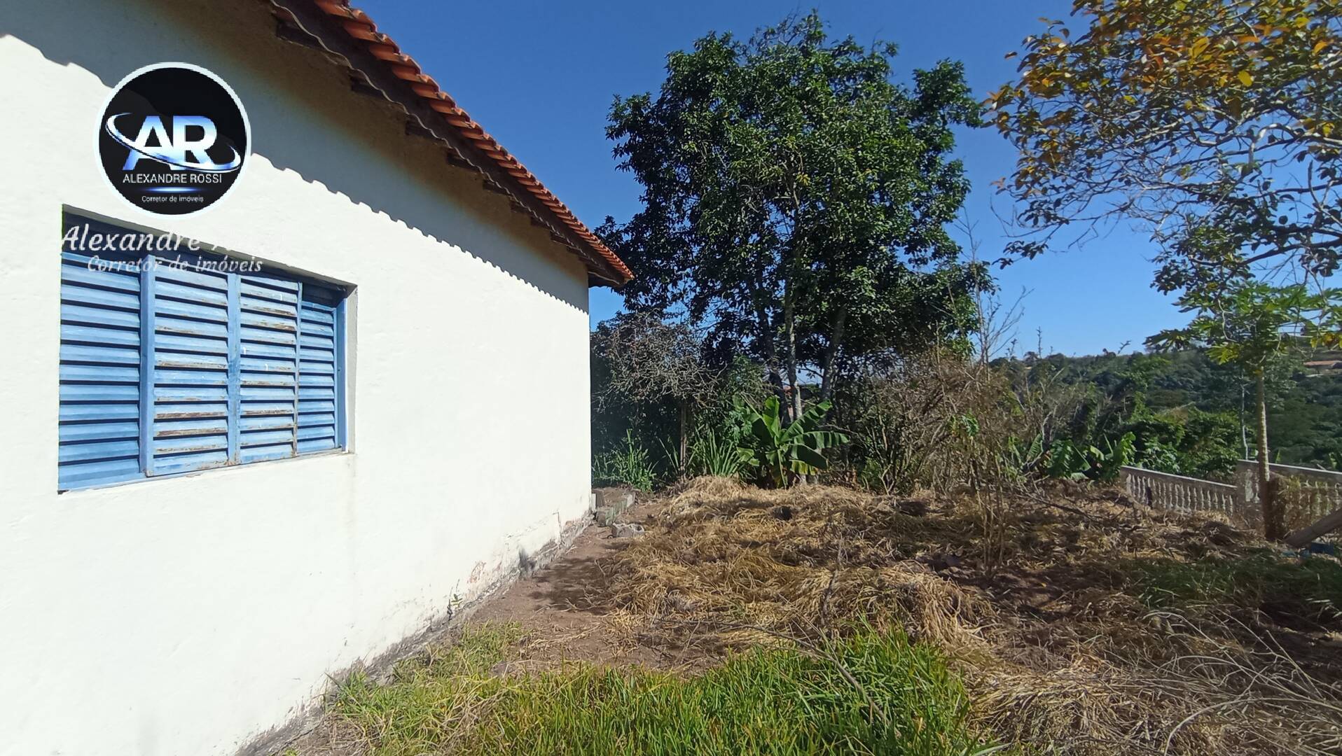 Fazenda à venda com 3 quartos, 5000m² - Foto 4