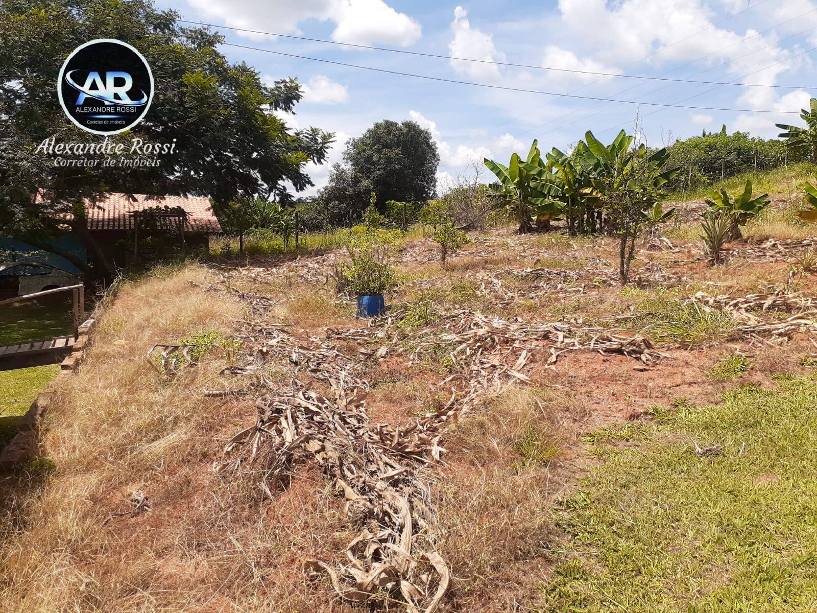 Fazenda à venda com 3 quartos, 400m² - Foto 35