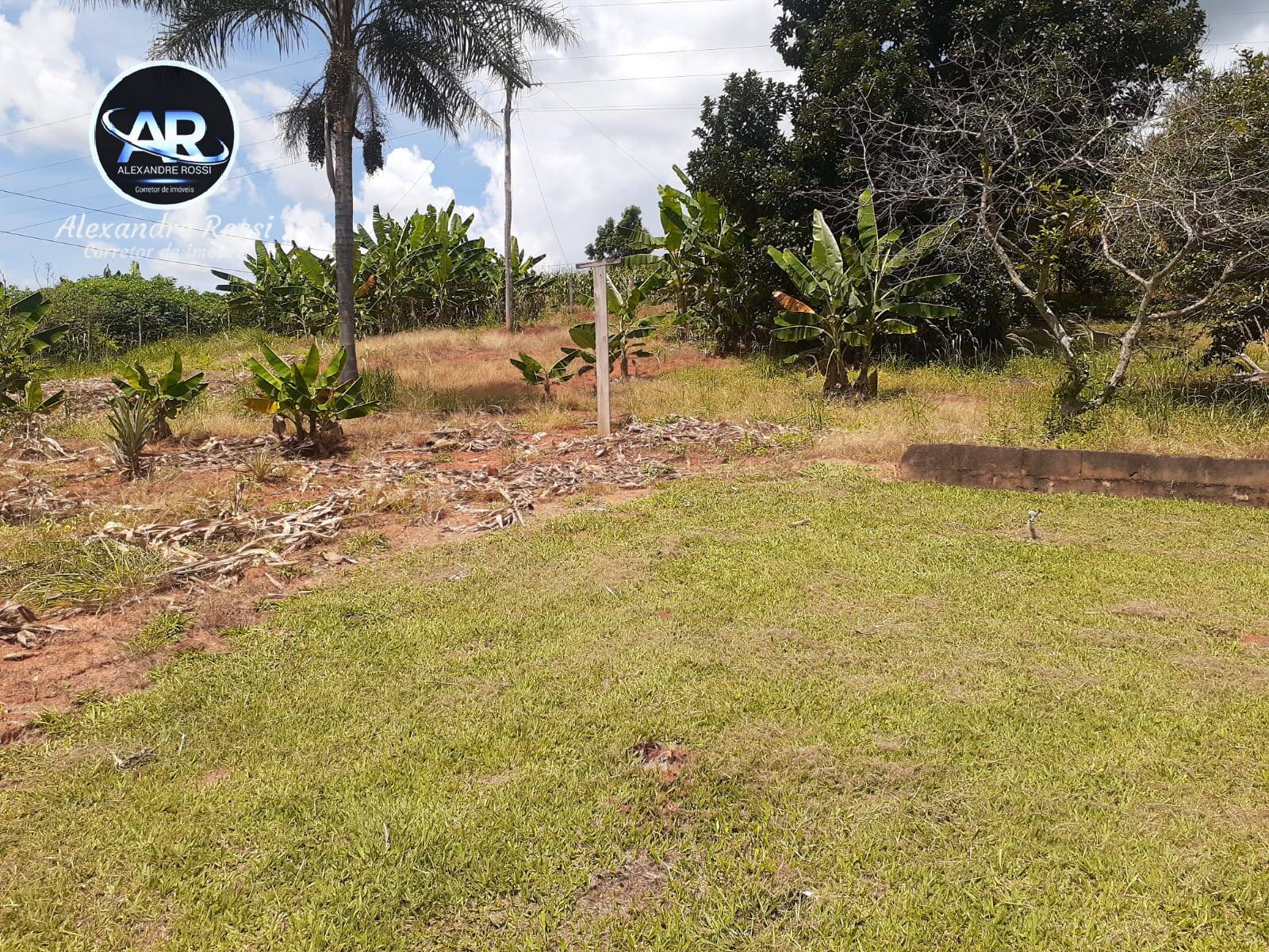 Fazenda à venda com 3 quartos, 400m² - Foto 36