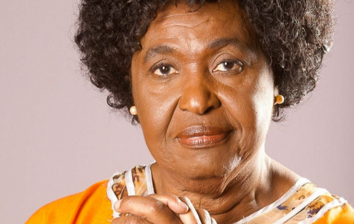 Senado no Rio: Benedita lidera, enquanto disputa pela segunda vaga fica completamente aberta